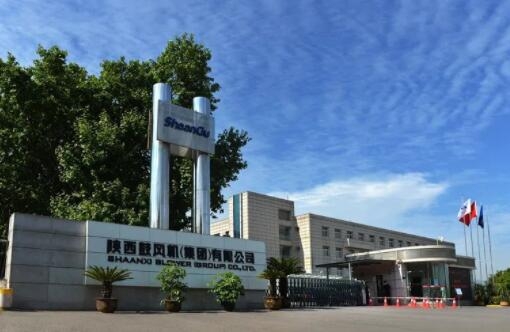 【陜鼓集團(tuán)】陜鼓集團(tuán)上榜“2022年度中國(guó)鋼鐵品牌榜”，獲“卓越鋼鐵技術(shù)與服務(wù)供應(yīng)商品牌”榮譽(yù)稱(chēng)號(hào)