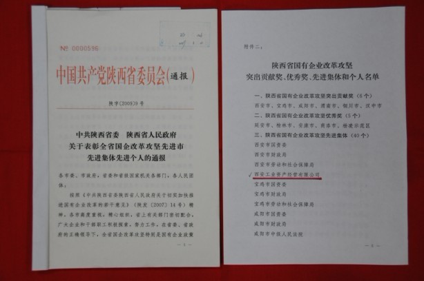 2009年2月，被陜西省委、省政府授予陜西省國有企業(yè)改革攻堅先進集體