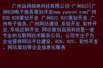 广州远扬信息科技-广州b2c|广州b2b电子商务策划开发.